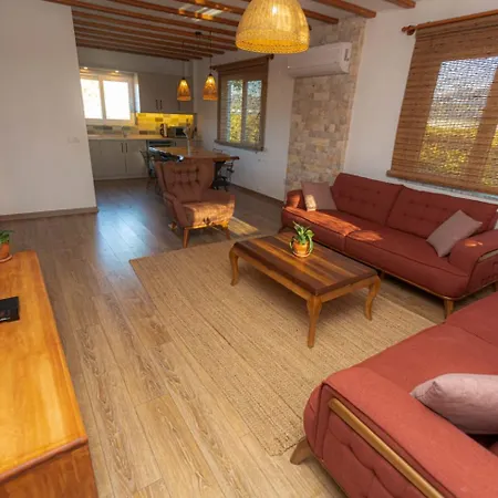 Old Village Villa *